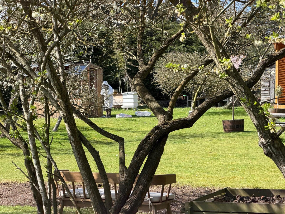 Beekeeper through trees