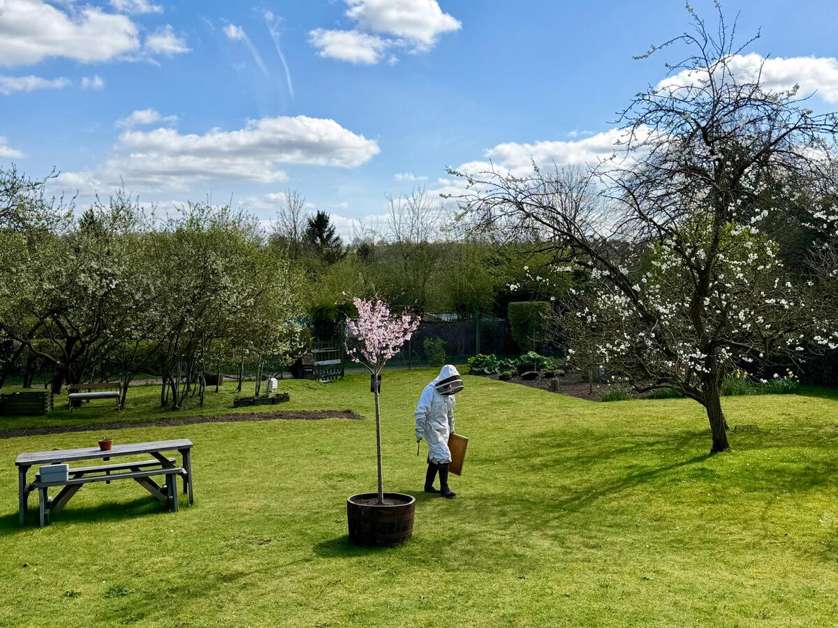 Beekeeper + blossom